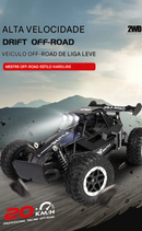 Carrinho Controle Remoto de alta velocidade, Caminhão Off-Road com Luzes LED, Brinquedo para Crianças e Adultos